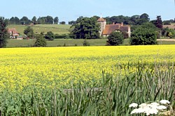 Ruckinge Church across fields