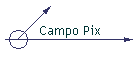 Campo Pix