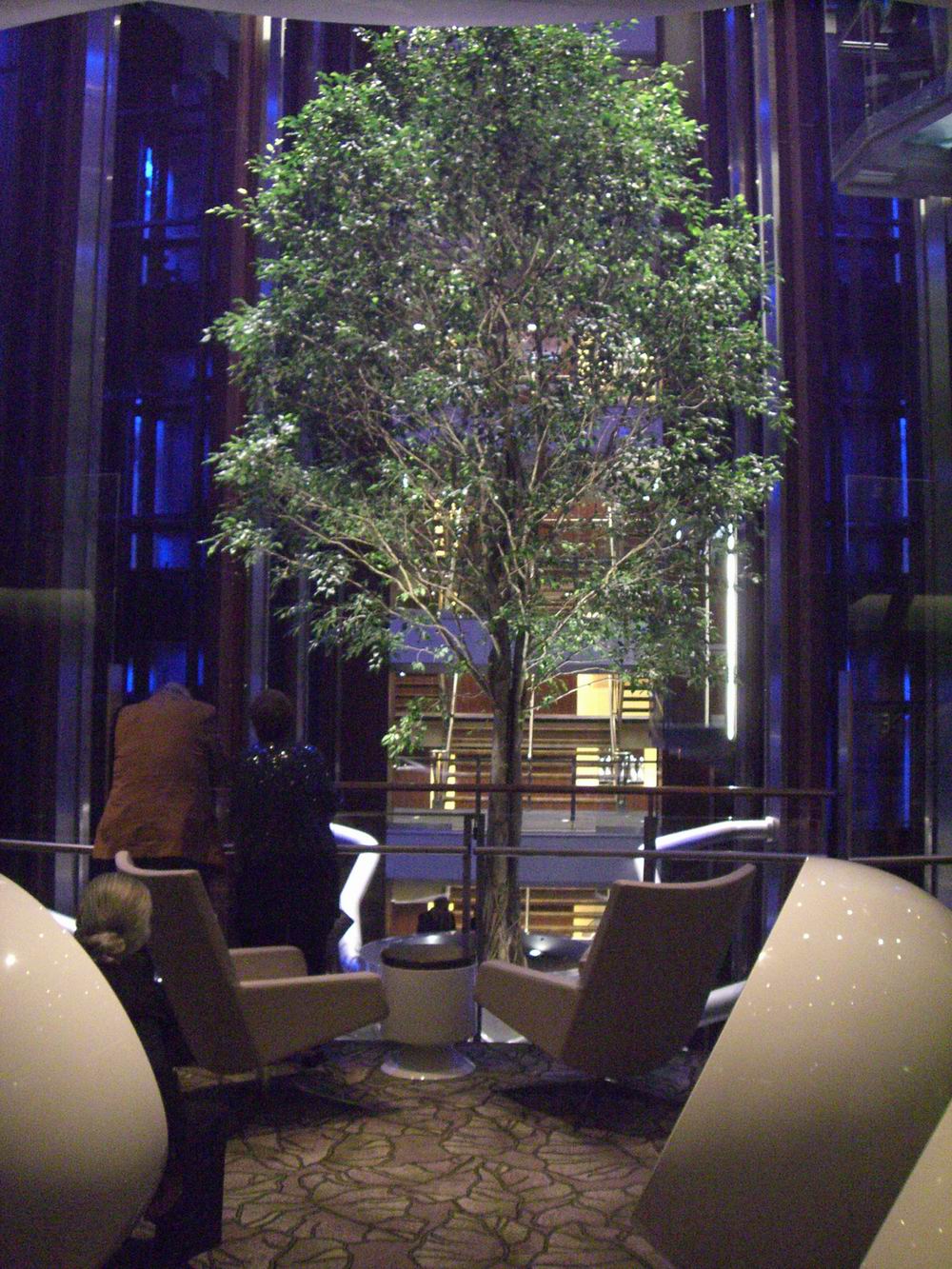 Atrium%20tree%20-%20Reflection.JPG